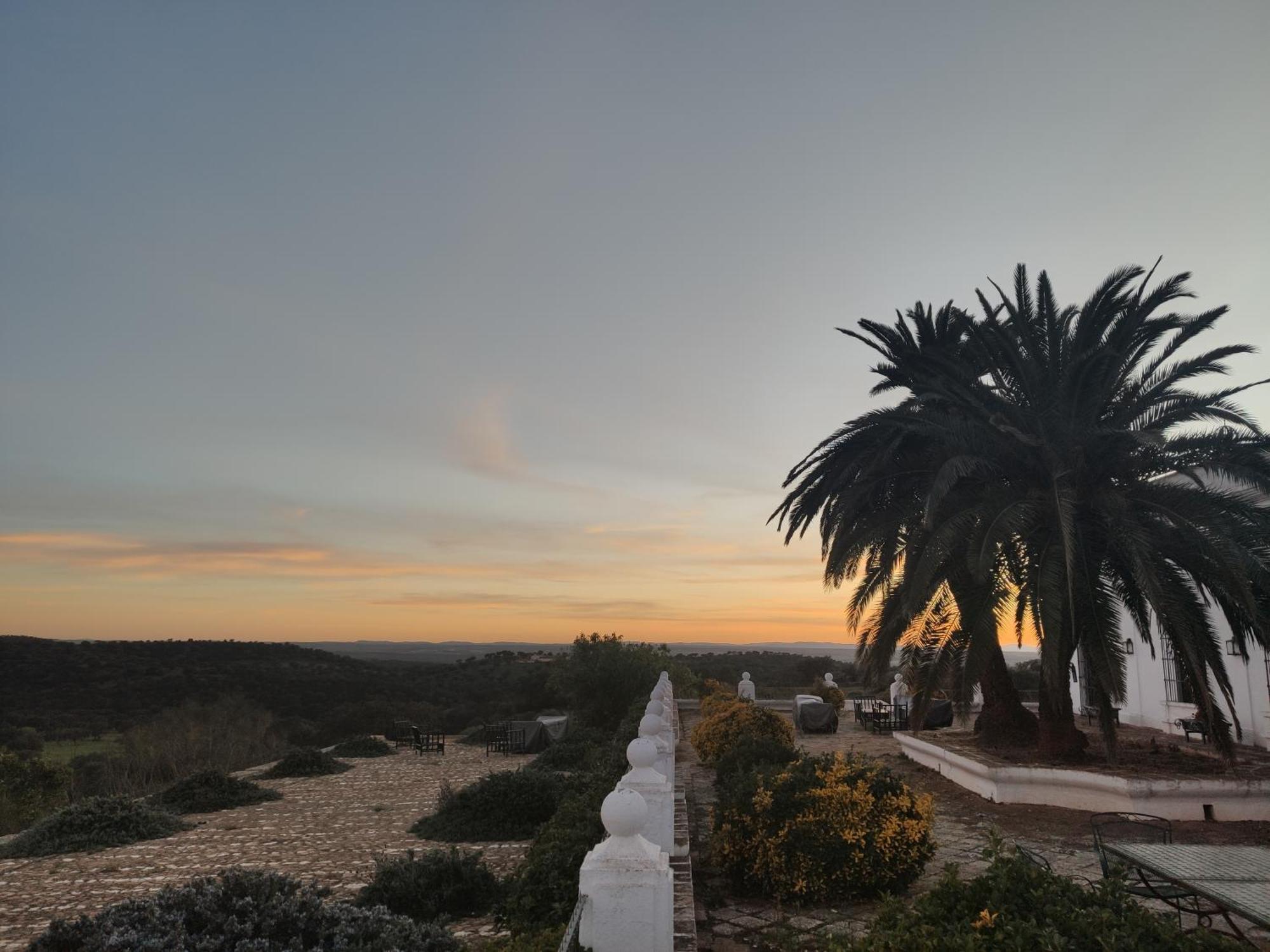 Dehesa El Aguila Puebla de la Reina